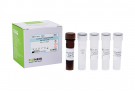 AccuPower® Campylobacter jejuni Real-Time PCR Kit