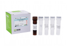 AccuPower® Gardnerella vaginalis Real-Time PCR Kit