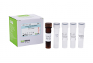AccuPower® Haemophilus influenzae Real-Time PCR Kit