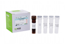 AccuPower® Helicobacter pylori Real-Time PCR Kit