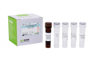 AccuPower® Mycobacterium avium Real-Time PCR Kit