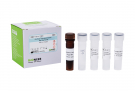 AccuPower® Mycoplasma hominis Real-Time PCR Kit