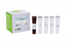 AccuPower® Enterococcus faecium Real-Time PCR Kit