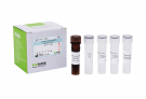 AccuPower® Proteus mirabilis Real-Time PCR Kit