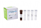 AccuPower® Prevotella intermedia Real-Time PCR Kit