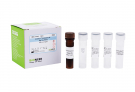 AccuPower® Acinetobacter pittii Real-Time PCR Kit