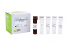 AccuPower® Haemophilus parainfluenzae Real-Time PCR Kit