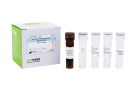 AccuPower® Neisseria gonorrhoeae Real-Time PCR Kit