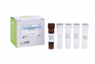 AccuPower® Mycobacterium szulgai Real-time PCR Kit