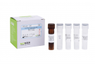AccuPower® Porphyromonas gulae Real-time PCR Kit