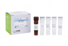 AccuPower® Bacteroides caccae Real-time PCR Kit