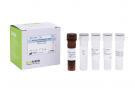 AccuPower® Citrobacter amalonaticus Real-time PCR Kit