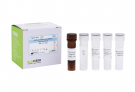 AccuPower® Enterococcus gallinarum Real-time PCR Kit