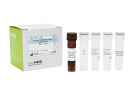 AccuPower®  Campylobacter coli/jejuni  Real-time PCR Kit