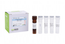 AccuPower® Candida albicans Real-time PCR Kit