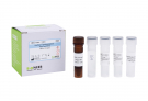 AccuPower® Candida parapsilosis Real-time PCR Kit