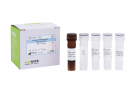 AccuPower® Candida tropicalis Real-time PCR Kit