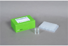 AccuPower® Walnut blight Real-Time PCR kit
