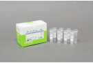 AccuPower® Vibrio 3-plex Real-Time PCR kit  