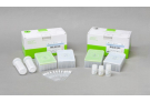 EC-Bulk Protein Synthesis Kit for ExiProgen, protein synthesis