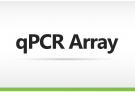 qPCR Array Service , qPCR array, gene expression, expression, qPCR service, qPCR