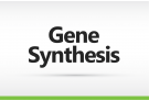 Gene Synthesis Custom Order, gene synthesis, gene