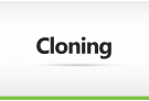 Cloning Custom Order, cloning, vector