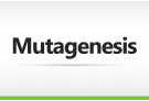 Mutagenesis Custom Order, mutagenesis