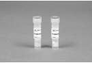 Proteinase K Powder