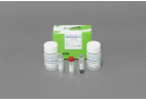 for purification of antibodies using magnetic separation method