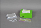 AccuPower® MP Real-Time PCR Kit
