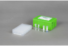 AccuPower® Porcine Respiratory 4-Plex PCR Kit