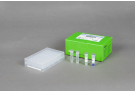 AccuPower® Salmonella spp. 4-Plex PCR Kit