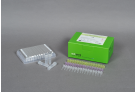 AccuPower® MTB Real-Time PCR Kit