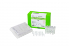 AccuPower® COVID-19 Multiplex Real-Time RT-PCR Kit