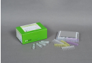 AccuPower® NTM Real-Time PCR Kit
