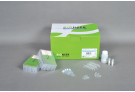 Plus Plant Genomic DNA extraction Kit for ExiPrep™16, genomic DNA, extraction, prep, sample prep, DNA extraction, ExiPrep kit