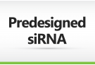 Predesigned siRNA , siRNA