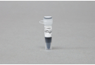 [4+1 프로모션 제품] AccuLadder™ 3-color Prestained Protein size marker (Broad)