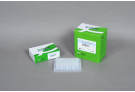 [4+1 프로모션 제품] AccuPower® PCR PreMix (480 T, 50 μl)