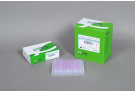 [4+1 프로모션 제품] AccuPower® CycleScript™ RT PreMix (dN6) (480 T, 20 μl)