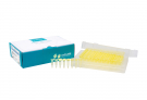 [3+1 프로모션 제품] AccuPower® RT/PCR PreMix (96 T, 20 μl)