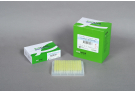 [4+1 프로모션 제품] AccuPower® RT/PCR PreMix (480 T, 20 μl)