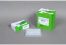 [4+1 프로모션 제품] AccuPower® Gold Multiplex PCR PreMix (480 T, 20 μl)