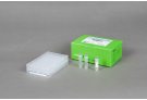 AccuPower® Rickettsiales 3-Plex PCR Kit