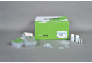 Rice Genomic DNA extraction Kit for ExiPrep™16, genomic DNA, extraction, prep, sample prep, DNA extraction, ExiPrep kit