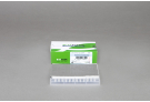 AccuPower® qPCR Array System: Human Immune Checkpoint Panel Kit