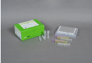AccuPower® New Inf A(H1N1) & Inf A Real-Time RT-PCR Kit