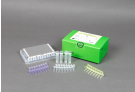 AccuPower® STI8A-Plex Real-Time PCR Kit