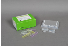 AccuPower® STI8B-Plex Real-Time PCR Kit